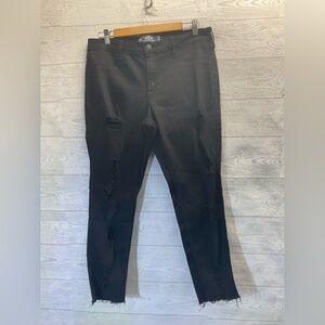 HOLLISTER CA JEANS‎